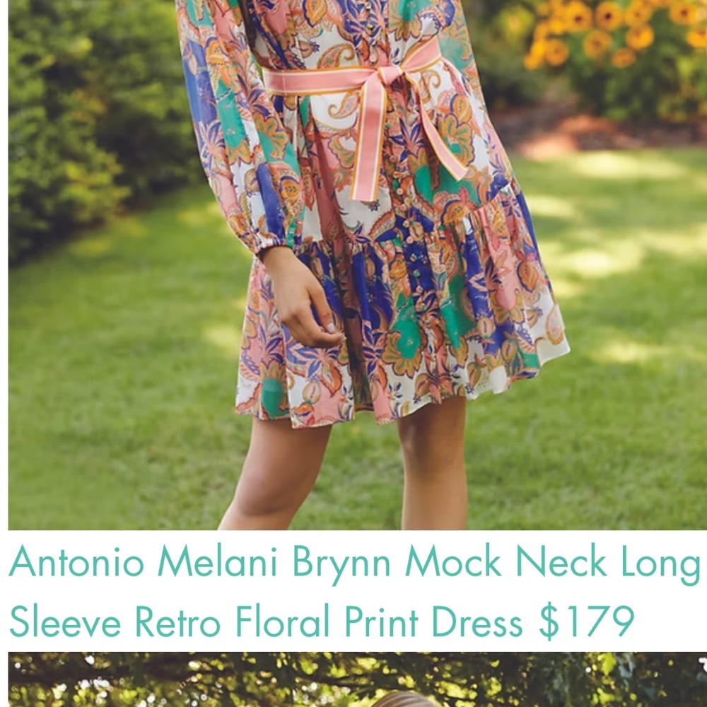 Antonio Melani Brynn Mock Neck Long Sleeve Retro Floral Print Dress SIZE 4 - Picture 3 of 14
